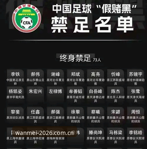 完美体育体育观赛攻略 中国足协第三批禁足名单公布,完美体育官方登录入口带你深度解析赛事乱象最新动态